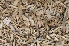 biomass boilers Treowen