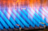 Treowen gas fired boilers